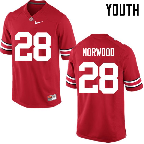Ohio State Buckeyes #28 Joshua Norwood Youth Embroidery Jersey Red